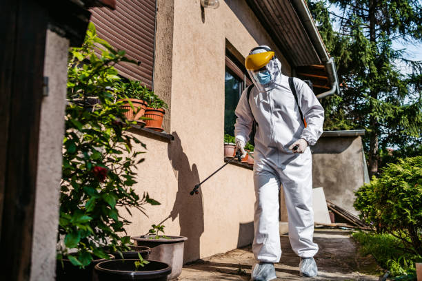 Best Cockroach Control Services  in Colonia, NJ