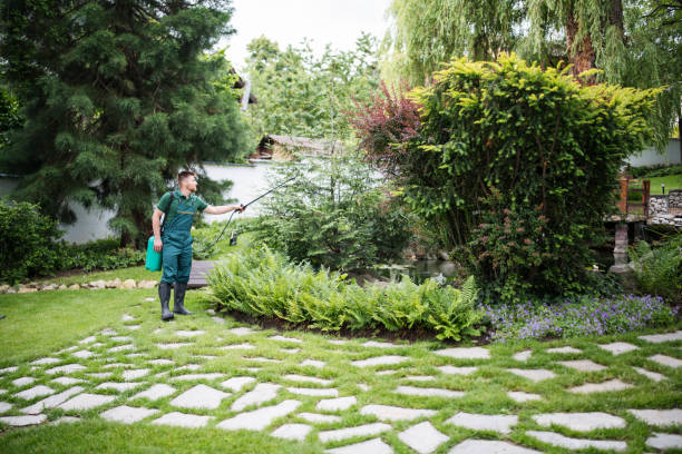 Best Wasp Removal Services  in Colonia, NJ