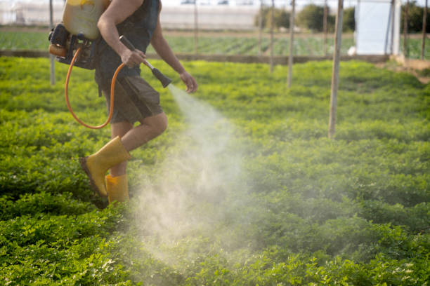 Best Commercial Pest Control Services  in Colonia, NJ