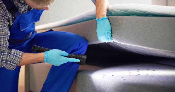 Best Local Pest Control Services  in Colonia, NJ