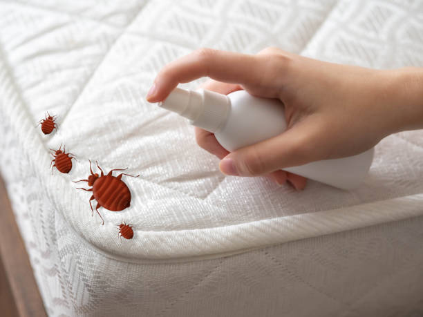 Best Flea Control Services  in Colonia, NJ