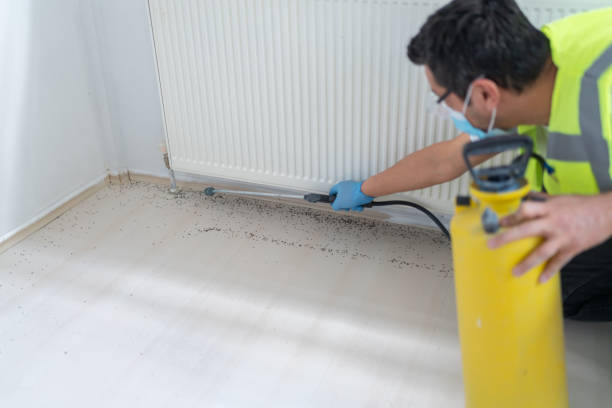 Best Affordable Pest Control Services  in Colonia, NJ