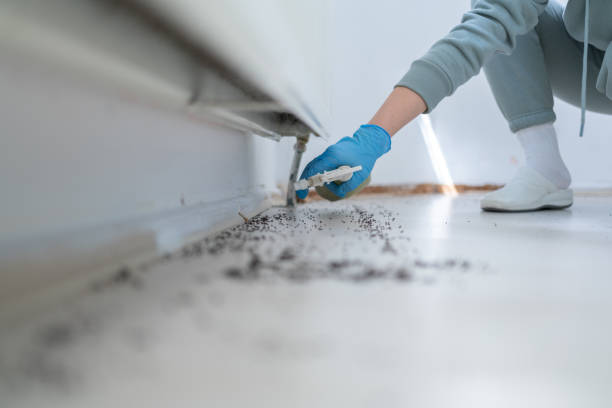 Best Affordable Pest Control Services  in Colonia, NJ